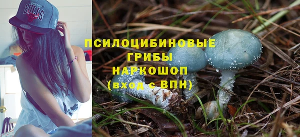амф Заволжье