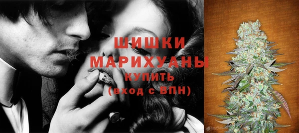 амф Заволжье