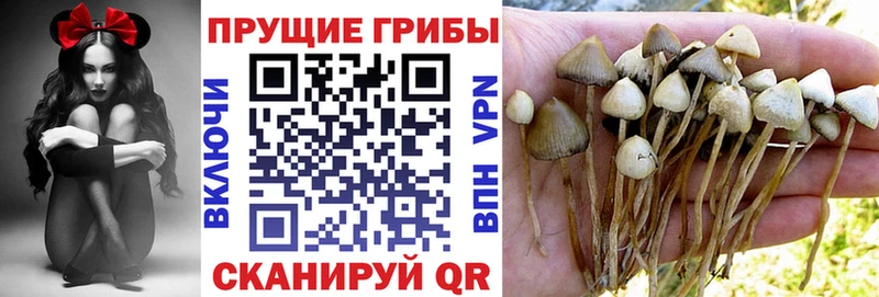 Псилоцибиновые грибы мицелий  Няндома 
