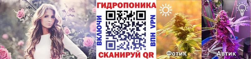 Шишки марихуана семена  Няндома 